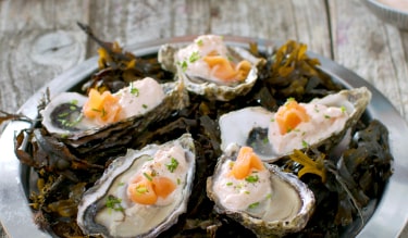 Oyster with Smoked Salmon Pureé