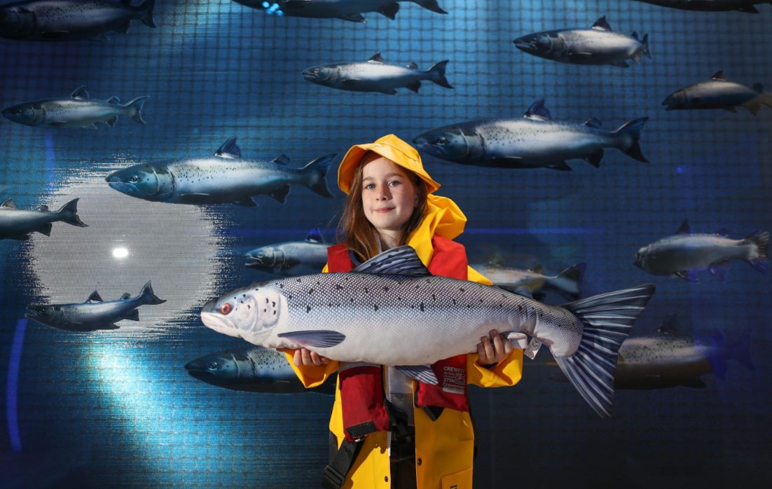 Taste the Atlantic Salmon Experience at Burren Smokehouse