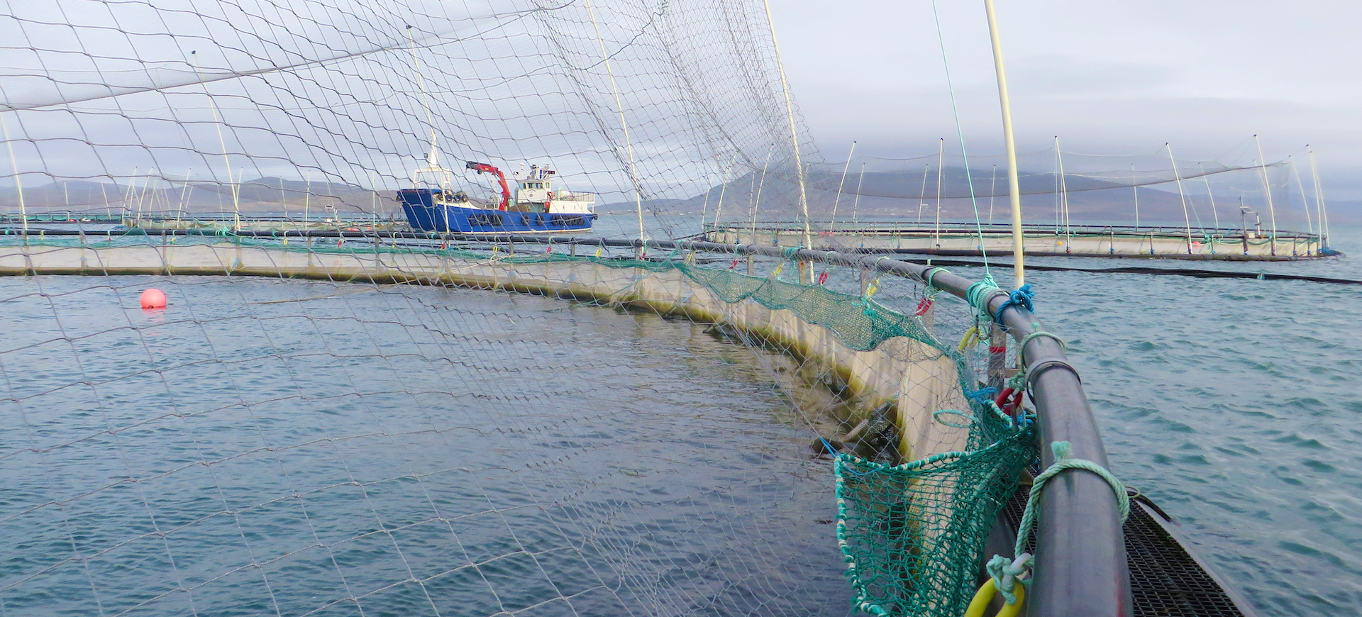 Ferme de saumon biologique Burren Smokehouse