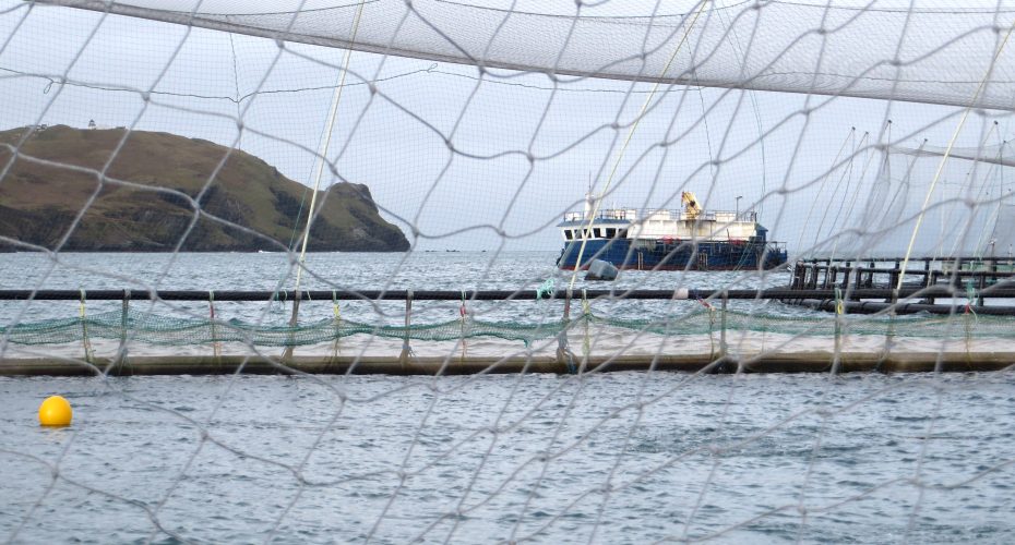 Organic Salmon farm Ireland Burren Smokehouse