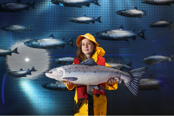 Neu: „Taste the Atlantic – Salmon Experience“