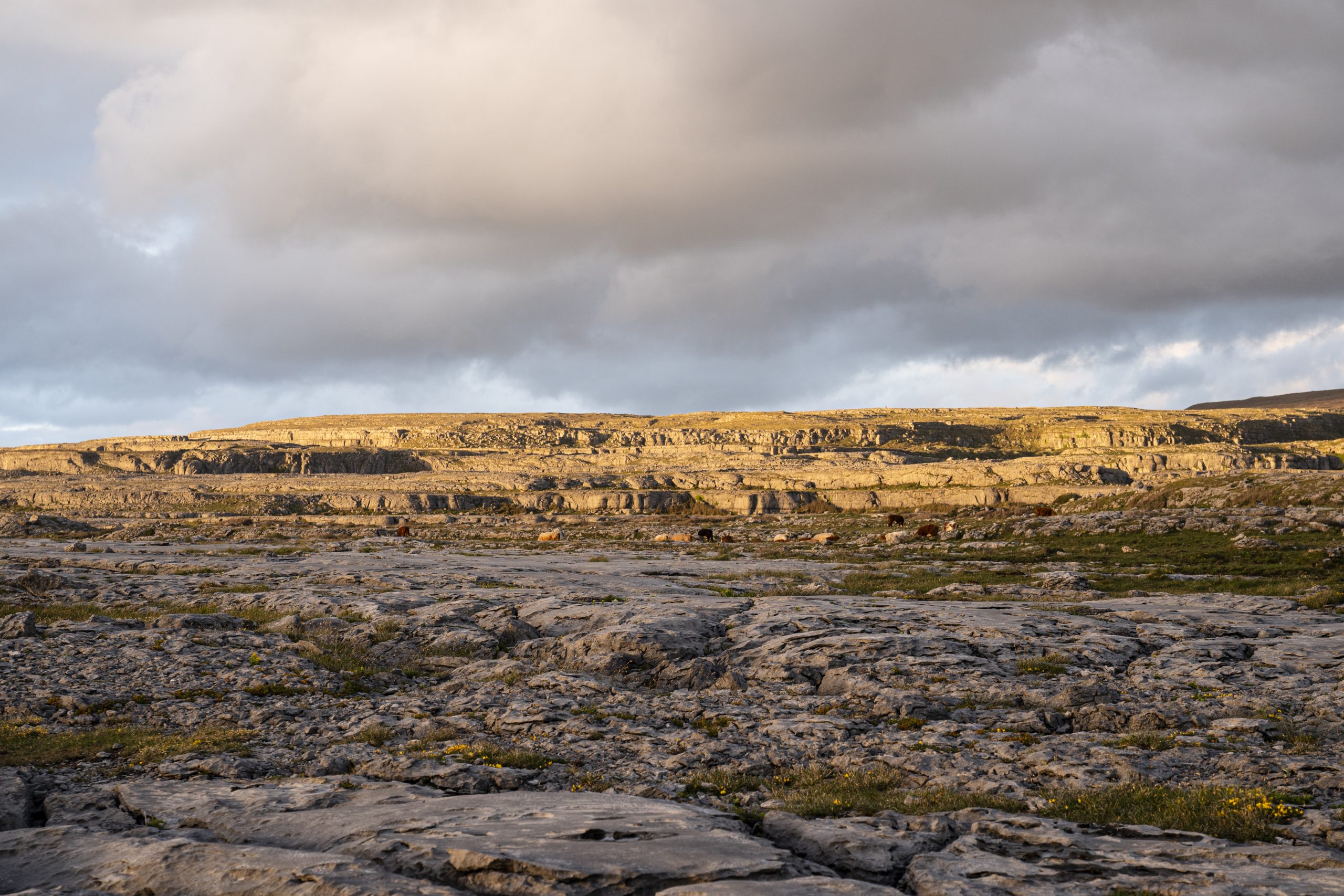 Géoparc de Burren et des falaises de Moher Burren Smokehouse