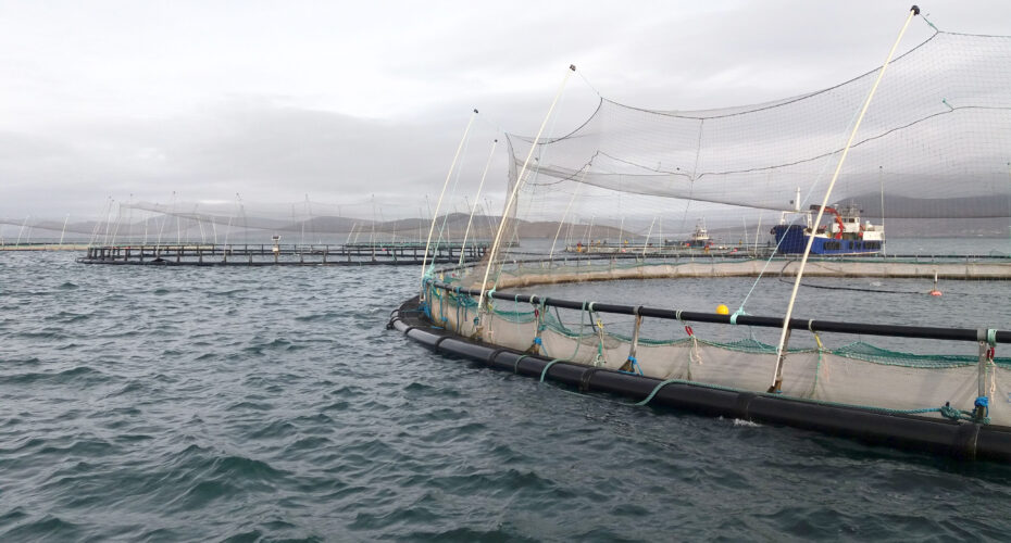Organic salmon farm on the Wild Atlantic Way