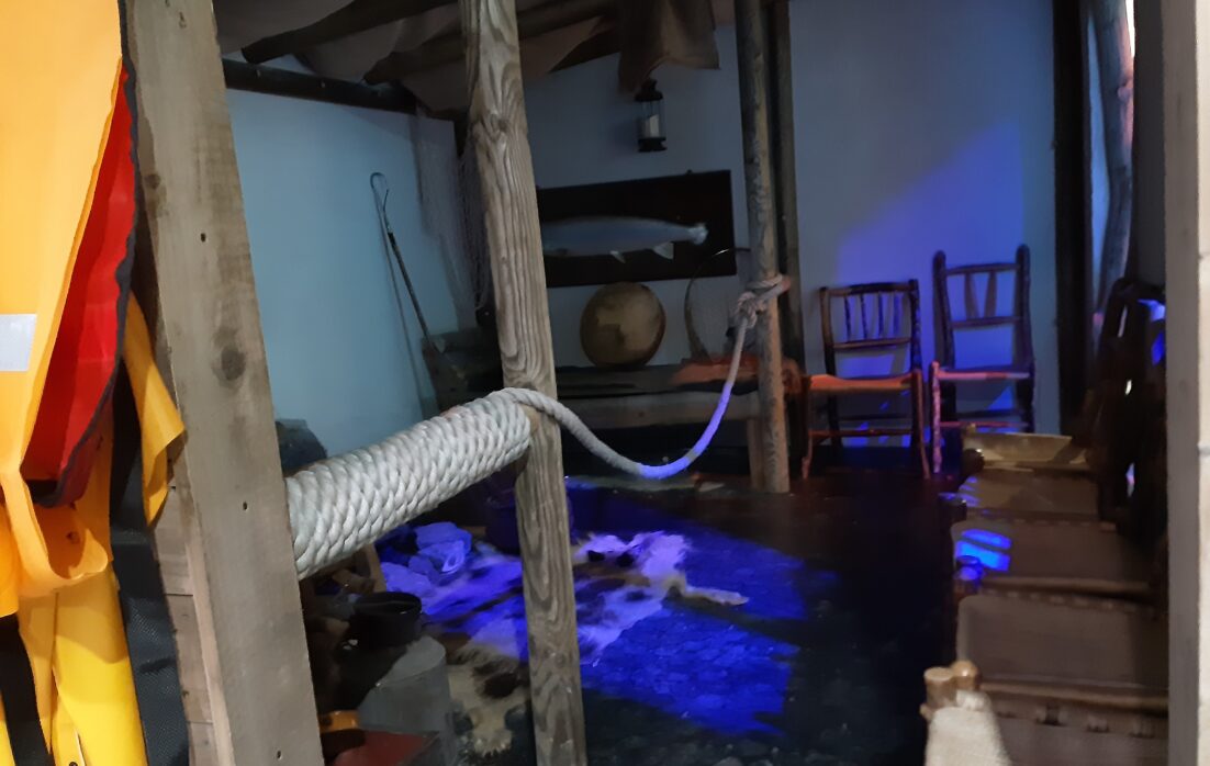 Inside the shadow play of Taste the Atlantic - Salmon Experience at Burren Smokehouse