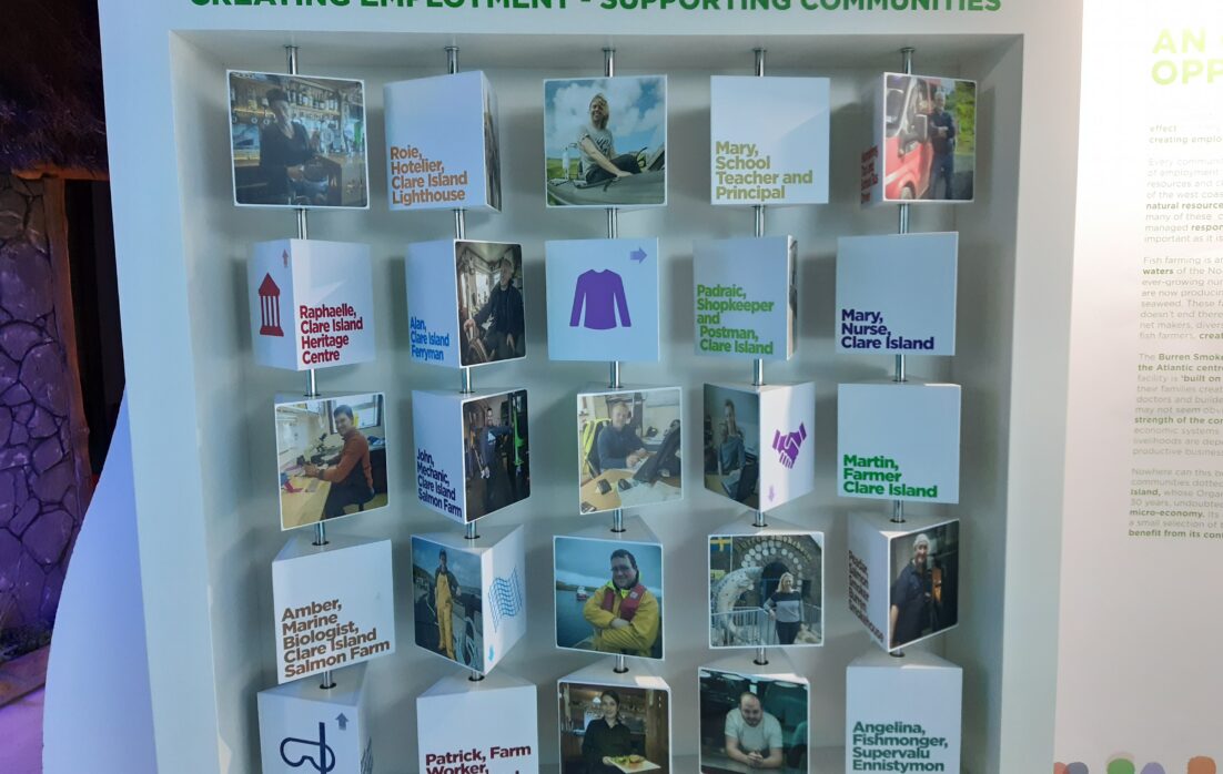 Interactive display at Taste the Atlantic - Salmon Experience